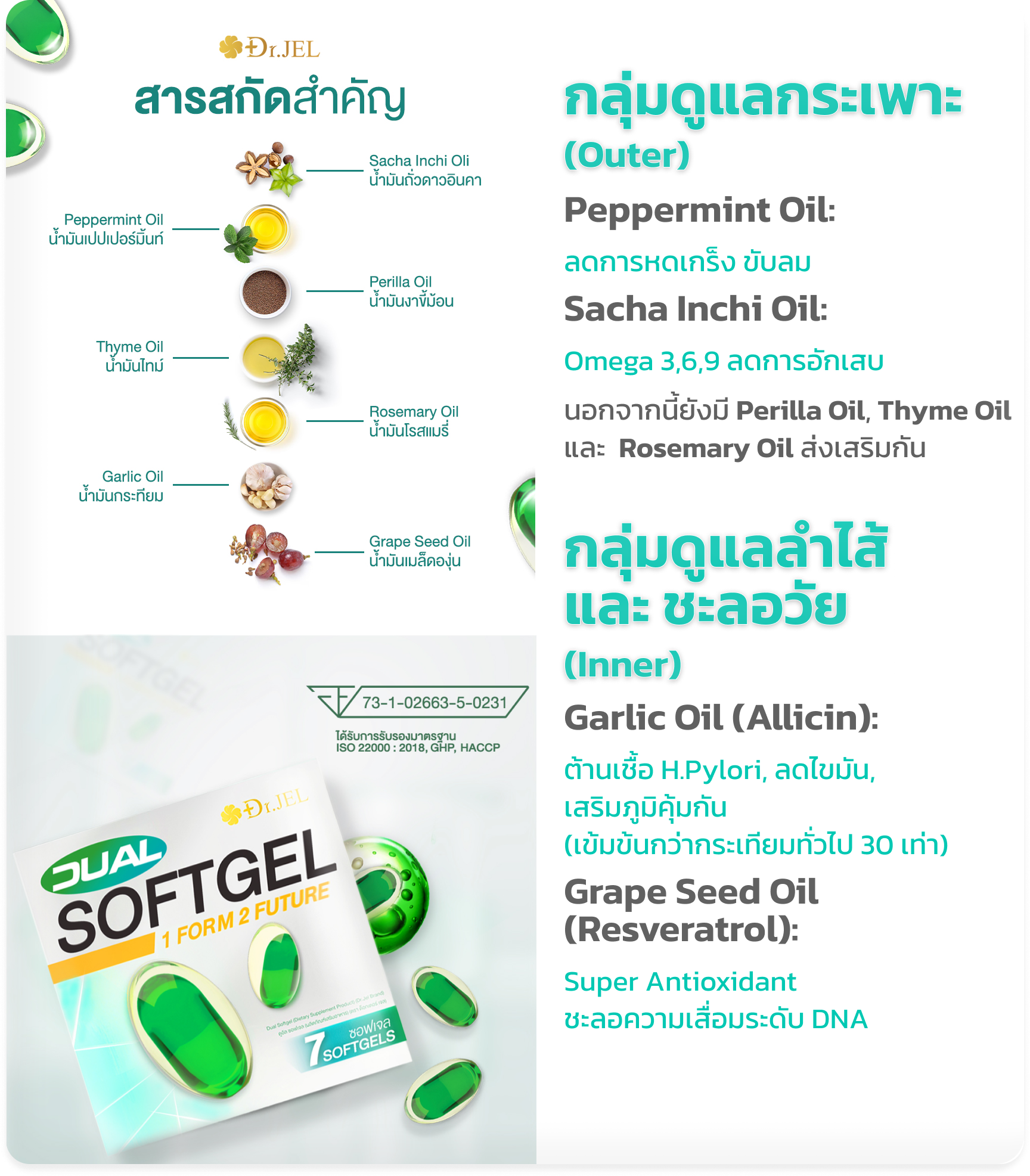 สารสกัดสำคัญใน Dual Softgel